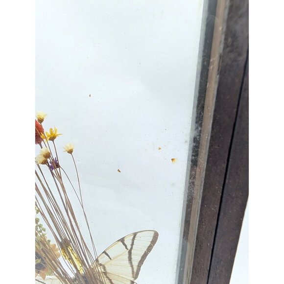 Vintage Shadow Box Butterflies Flowers display glass 12.4" x 5.4" boho READ - Picture 15 of 16